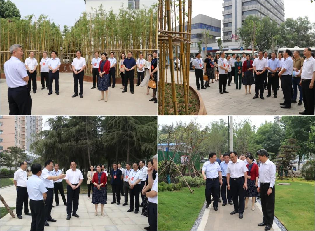 刘保新在视察城区部分主干道园林绿化和改造提升工作时强调 改善人居环境 提升城市品位